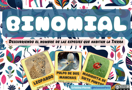 Binomial – El juego con el que tus alumnos aprenderán a clasificar especies ¡divirtiéndose!