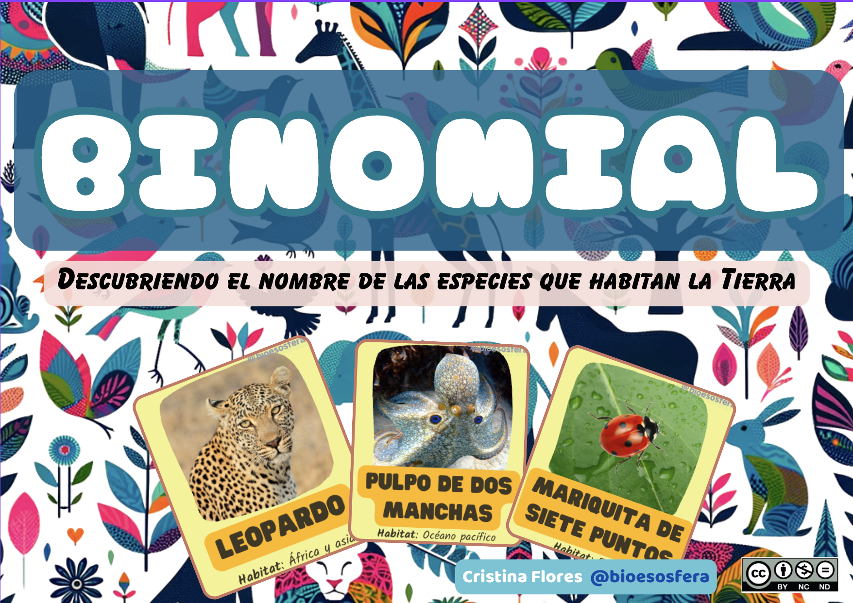 Binomial – El juego con el que tus alumnos aprenderán a clasificar especies ¡divirtiéndose!