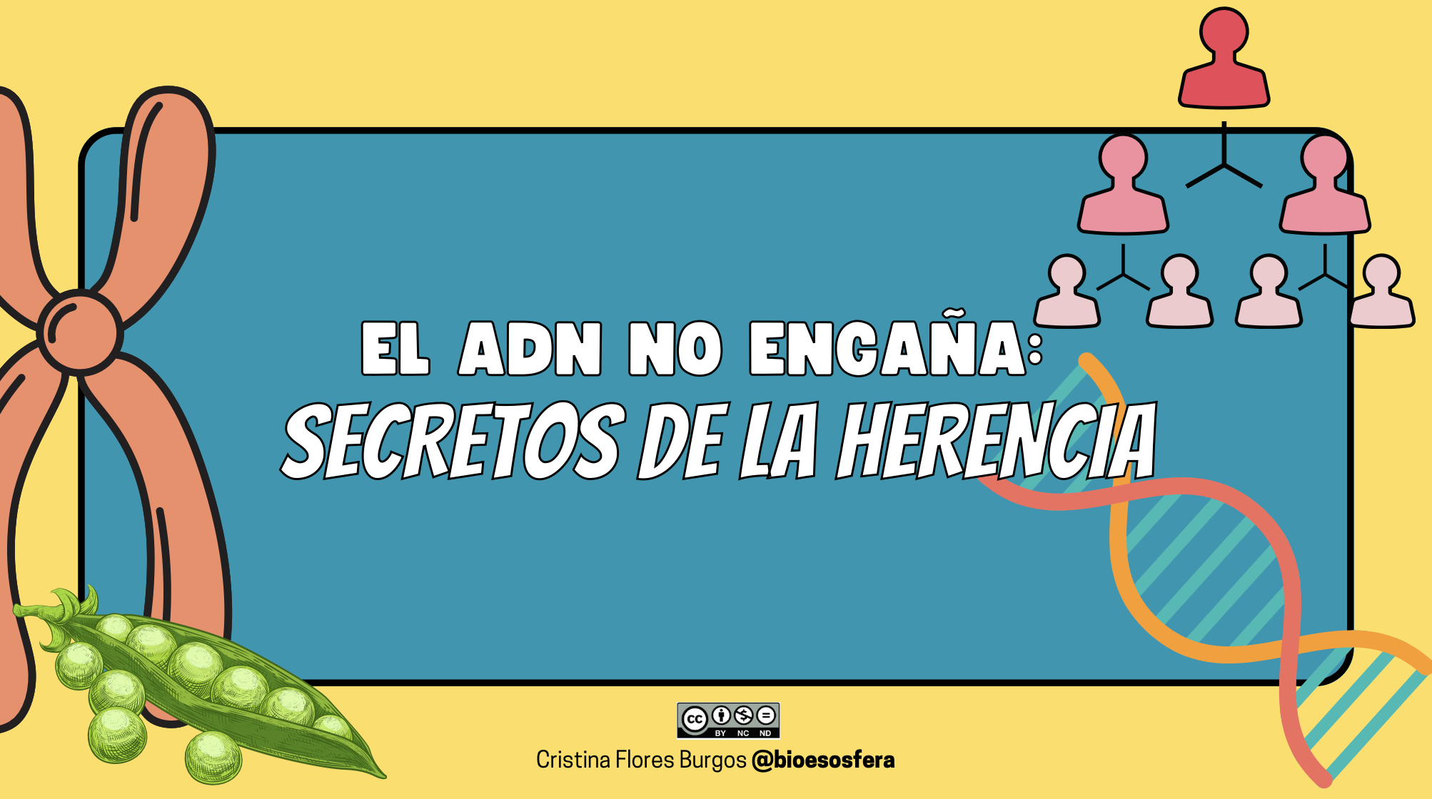 Genética Mendeliana – presentación completa con teoría, ejercicios y soluciones