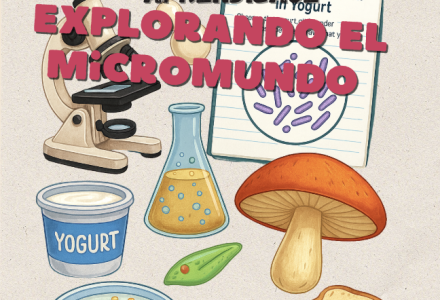 Estaciones de Aprendizaje: Explorando el Micromundo con 1º de ESO