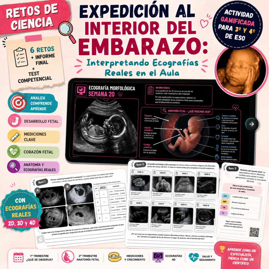 Expedición al Interior del Embarazo: Interpretando Ecografías Reales en el Aula